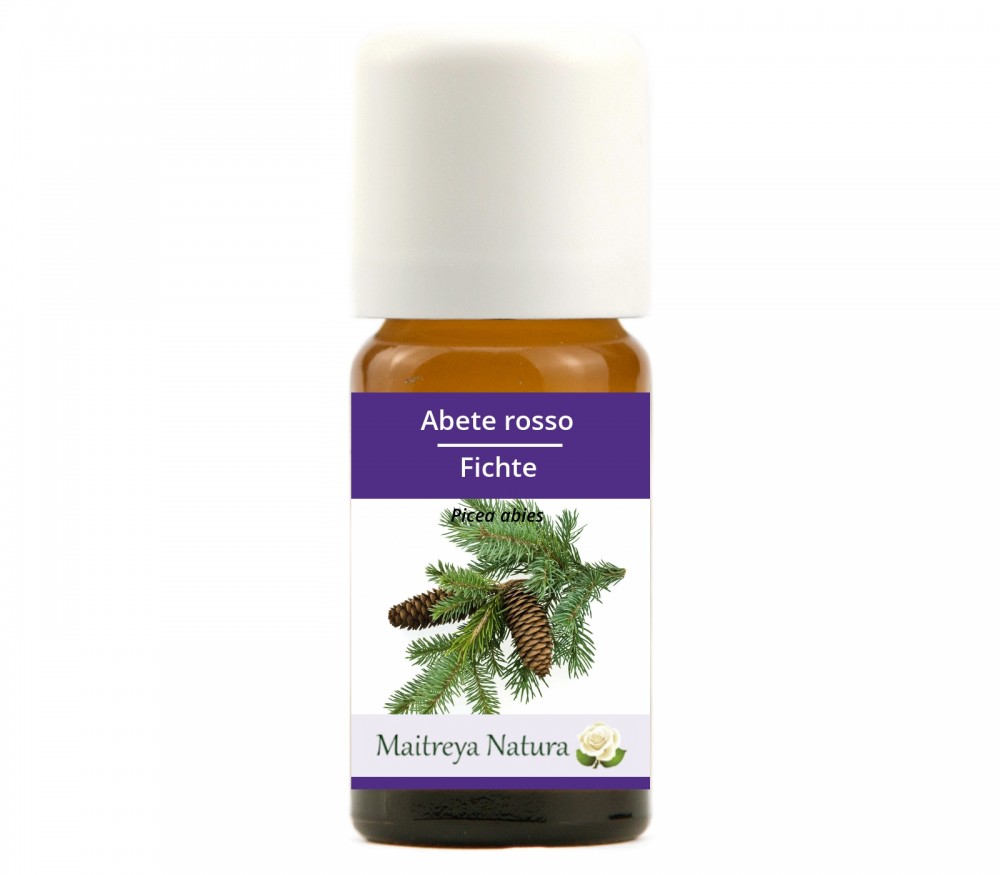 Online kaufen: Fichte Online kaufen: Fichte