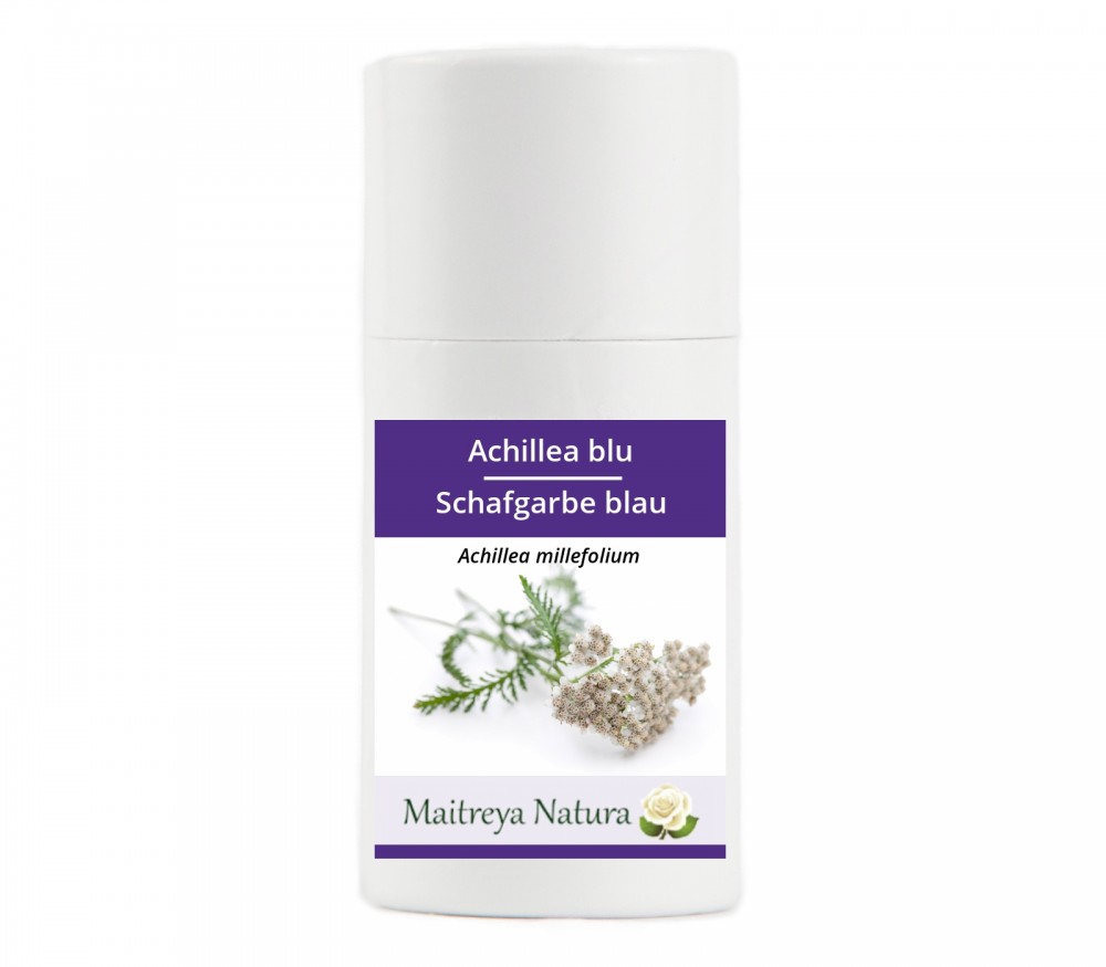 Online kaufen: Schafgarbe blau Online kaufen: Schafgarbe blau