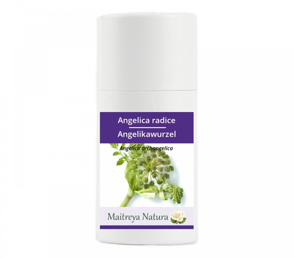 Online kaufen: Angelikawurzel Online kaufen: Angelikawurzel