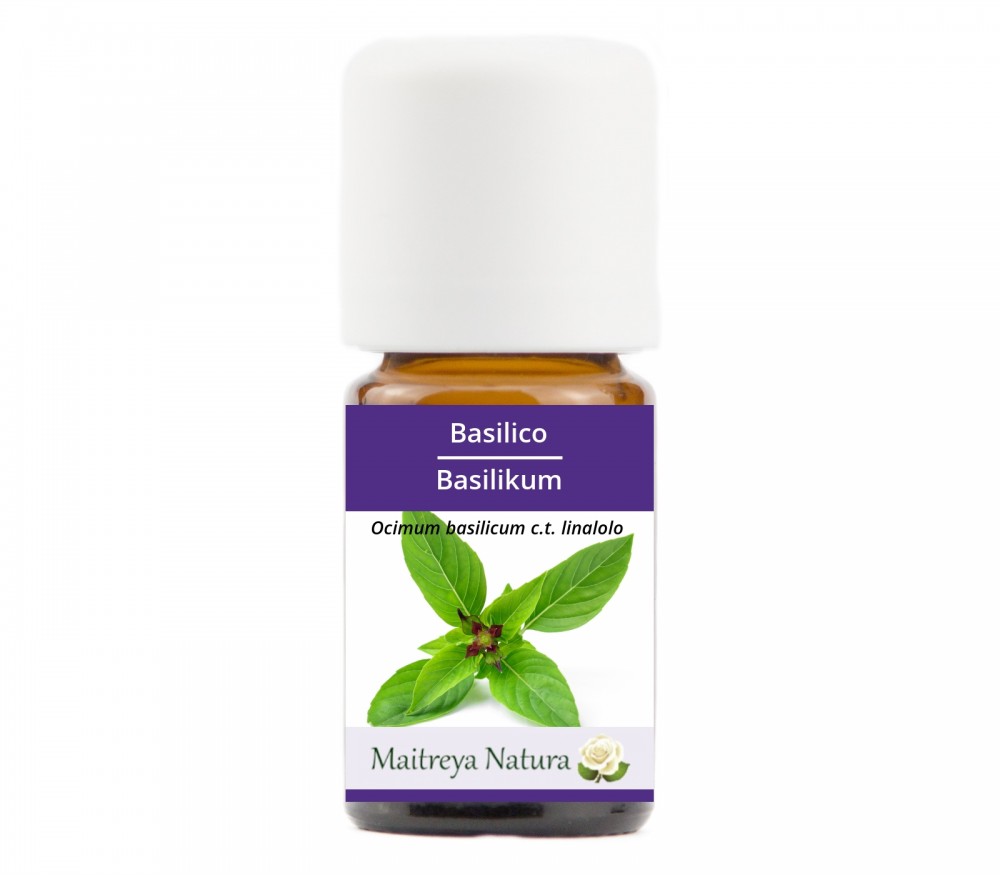 Online kaufen: Basilikum Online kaufen: Basilikum