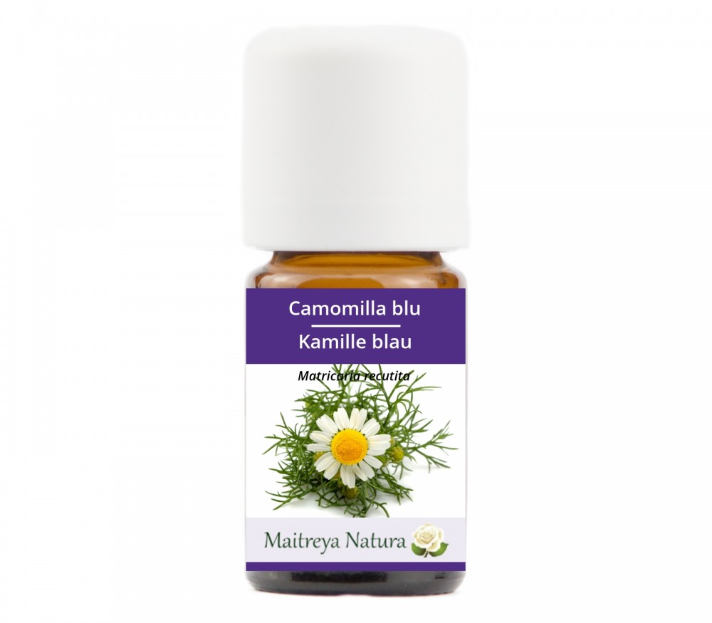 Online kaufen: Kamille blau Online kaufen: Kamille blau
