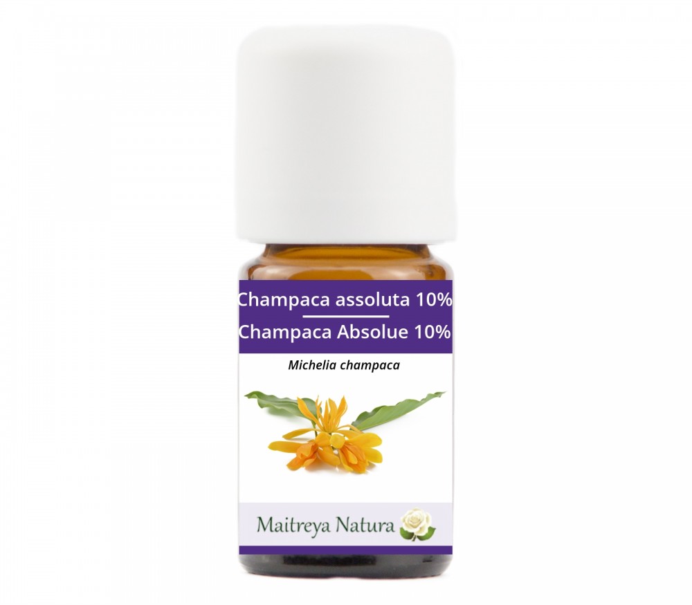 Online kaufen: Champaca Absolue 10% Online kaufen: Champaca Absolue 10%