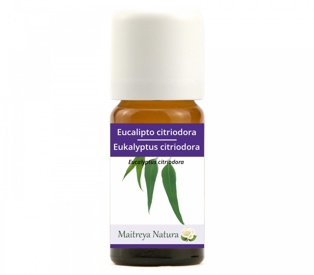 Online kaufen: Eukalyptus citriodora Online kaufen: Eukalyptus citriodora