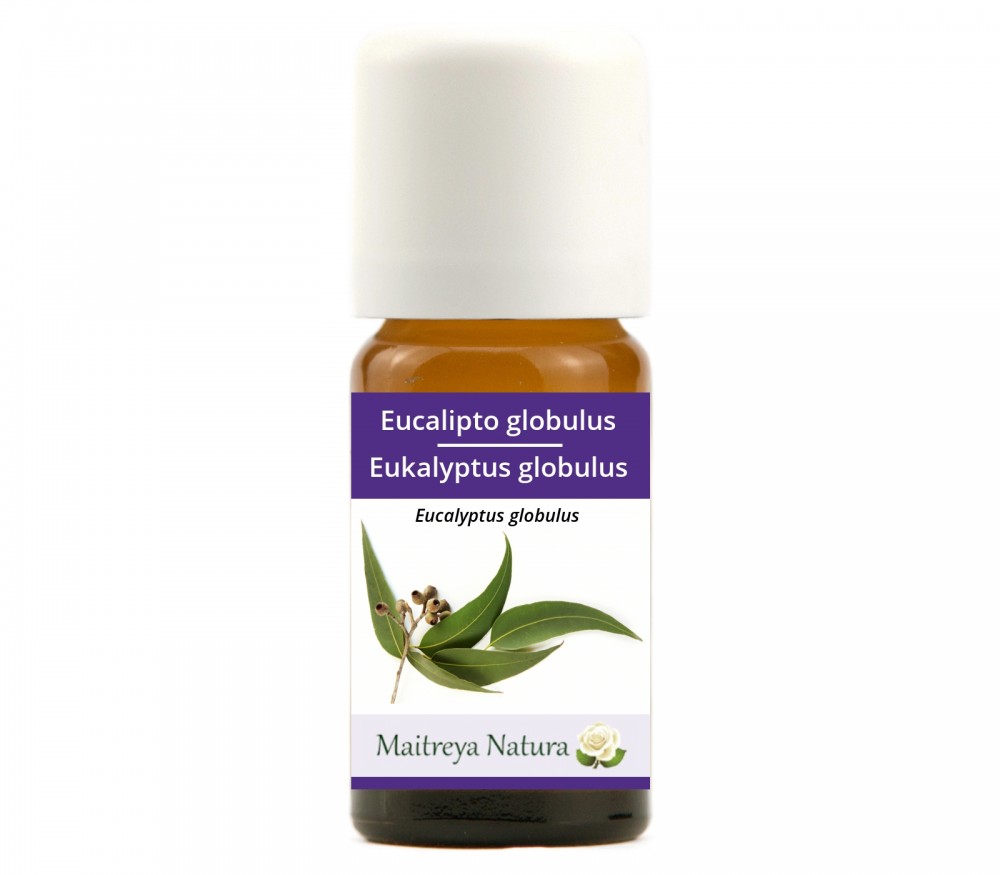 Online kaufen: Eukalyptus globulus Online kaufen: Eukalyptus globulus
