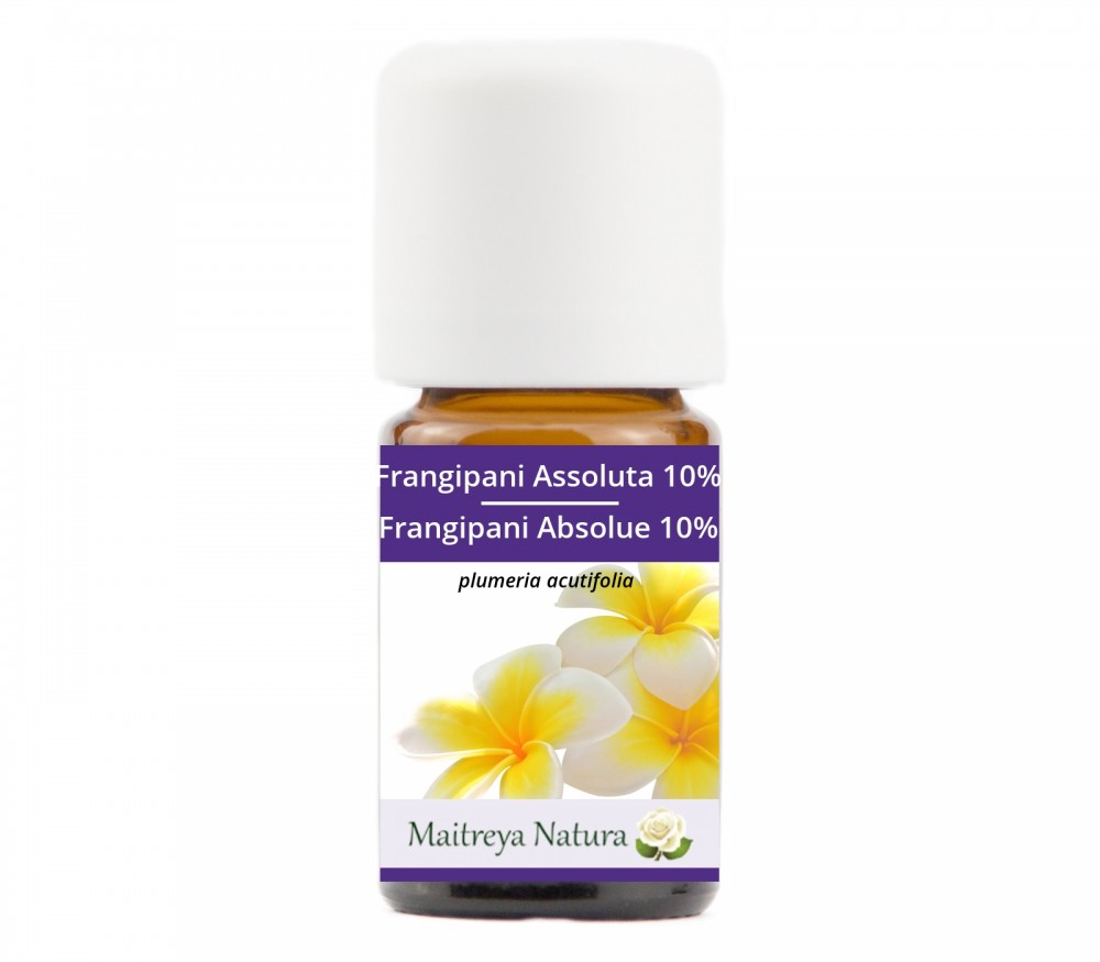 Online kaufen: Frangipani Absolue 10% Online kaufen: Frangipani Absolue 10%