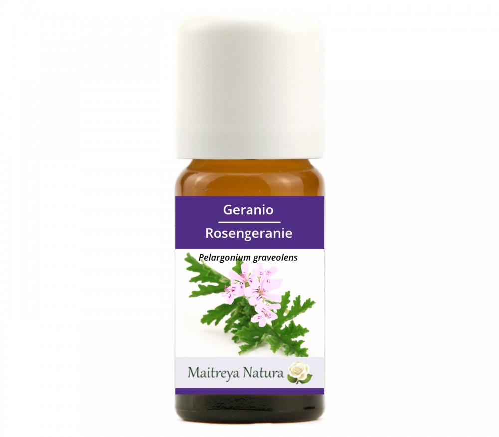 Online kaufen: Rosengeranie Online kaufen: Rosengeranie