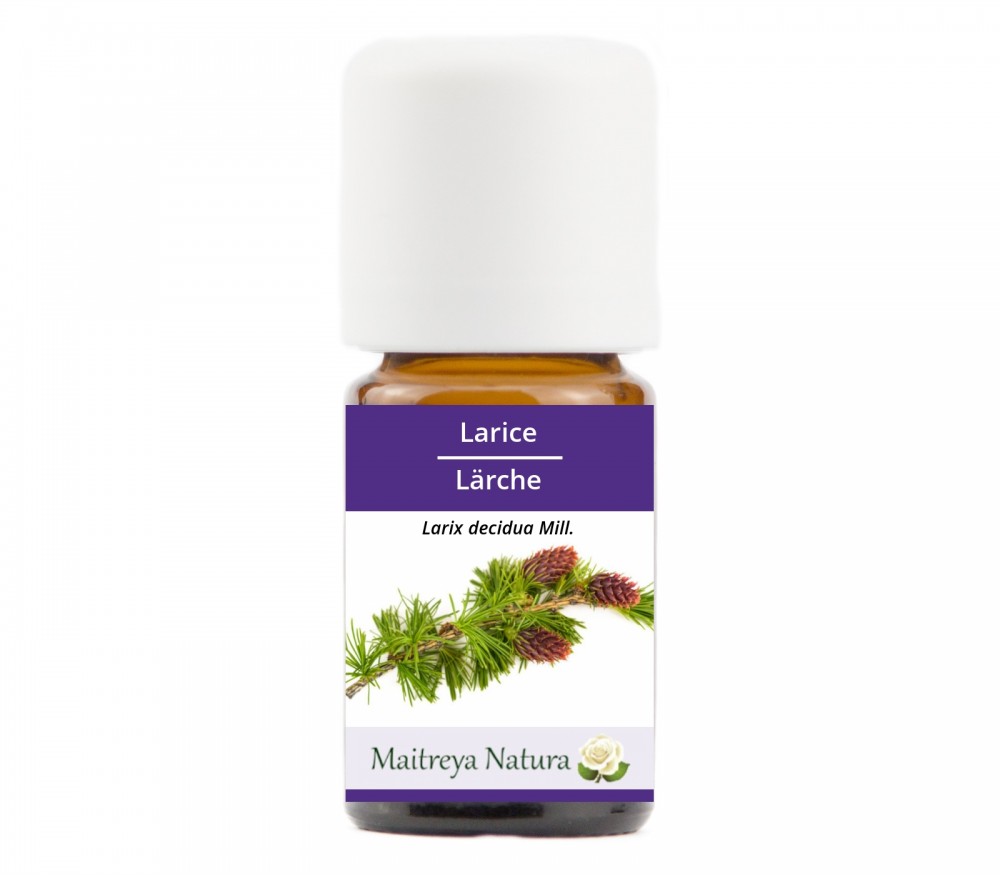Online kaufen: Lärche Online kaufen: Lärche