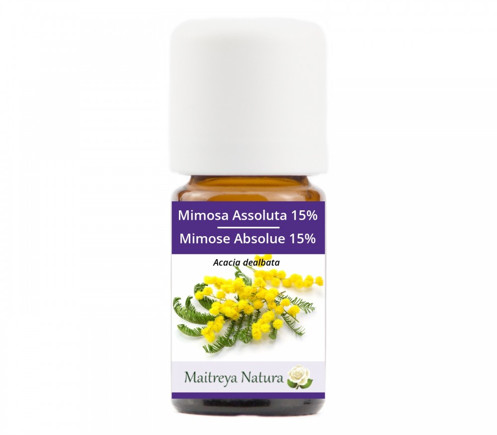 Online kaufen: Mimose Absolue 15% Online kaufen: Mimose Absolue 15%