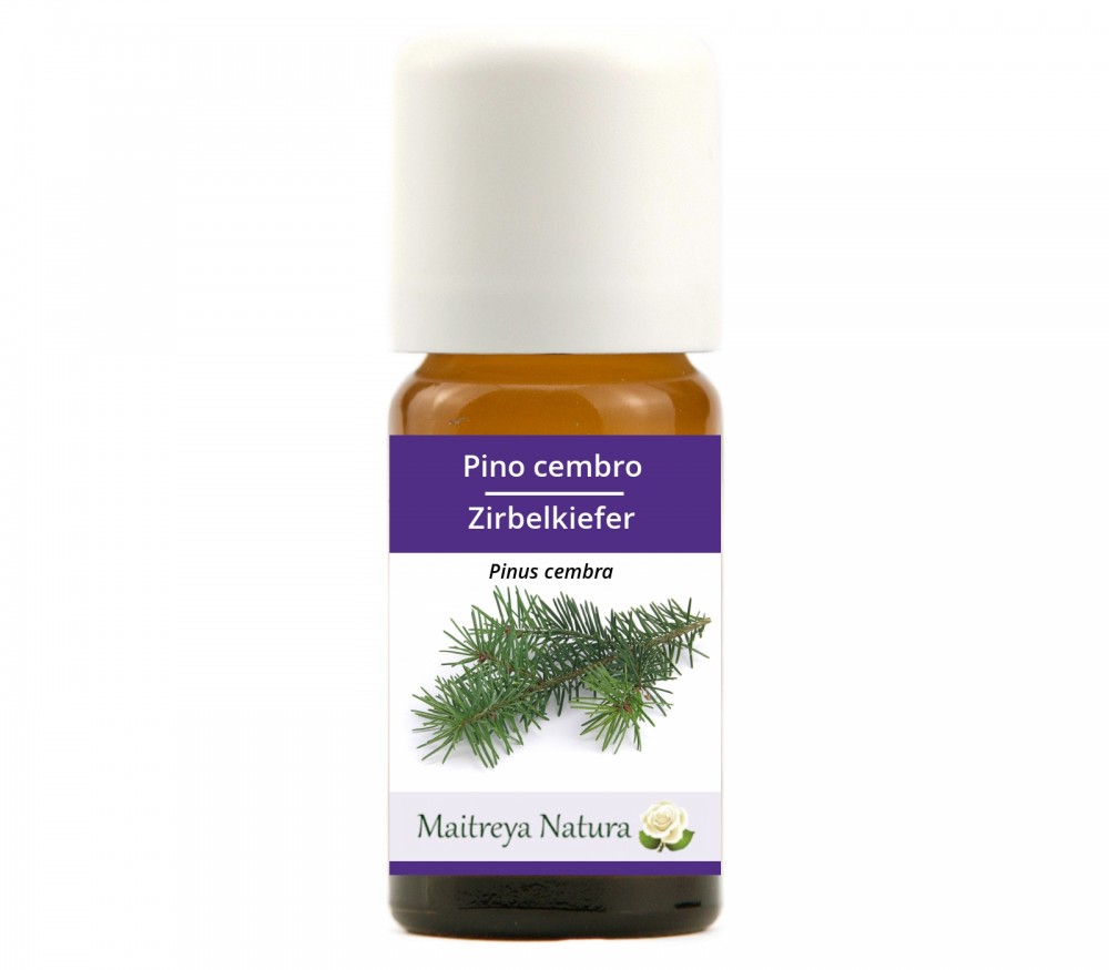 Online kaufen: Zirbelkiefer Online kaufen: Zirbelkiefer