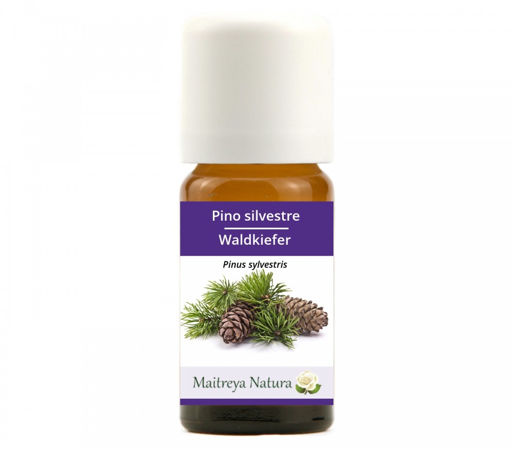 Online kaufen: Waldkiefer Online kaufen: Waldkiefer