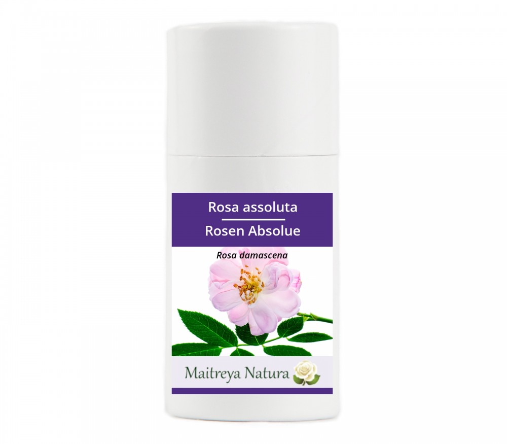 Online kaufen: Rosen Absolue Online kaufen: Rosen Absolue