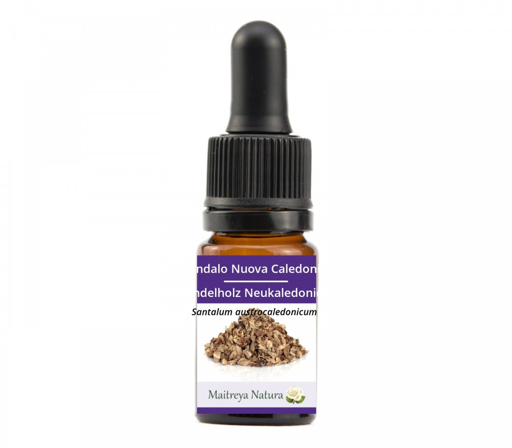 Online kaufen: Sandelholz Neukaledonien Online kaufen: Sandelholz Neukaledonien