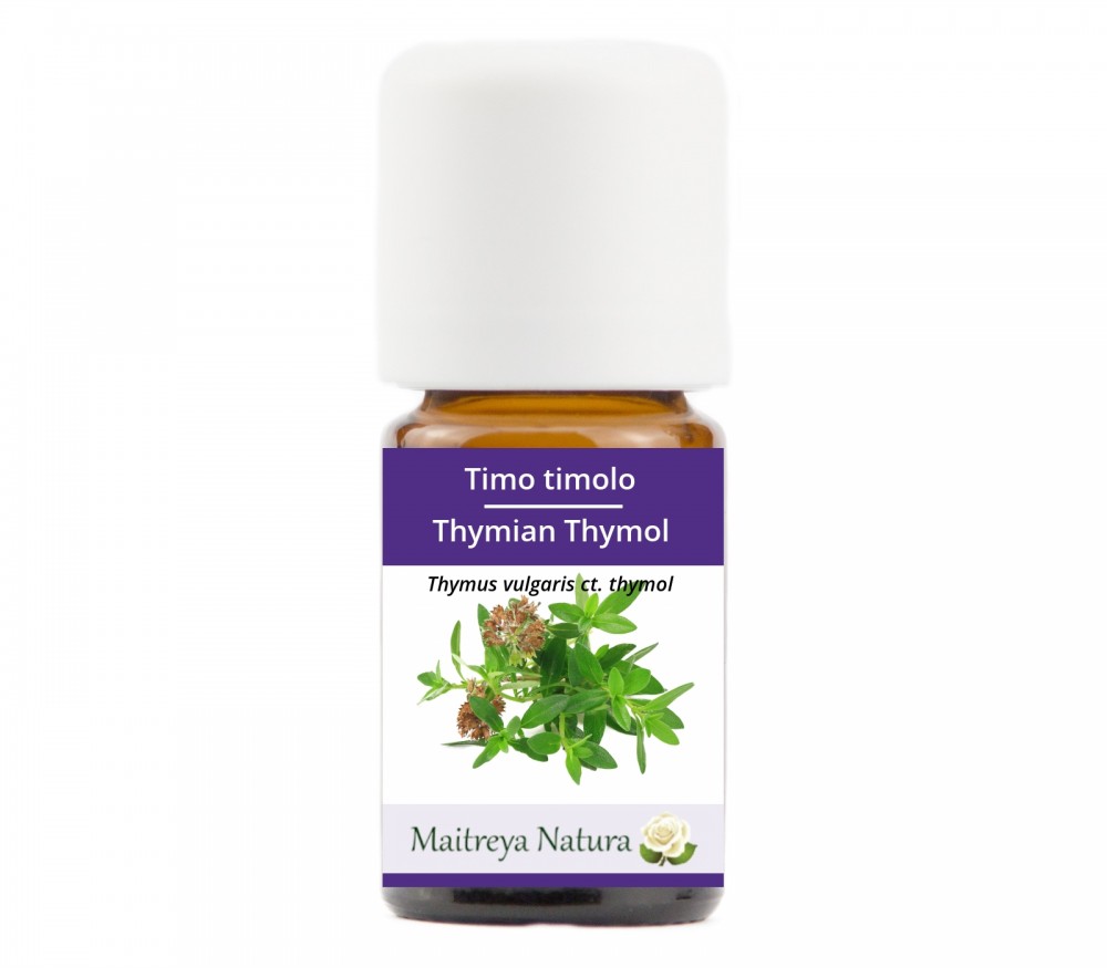 Vendita online: Timo timolo Vendita online: Timo timolo