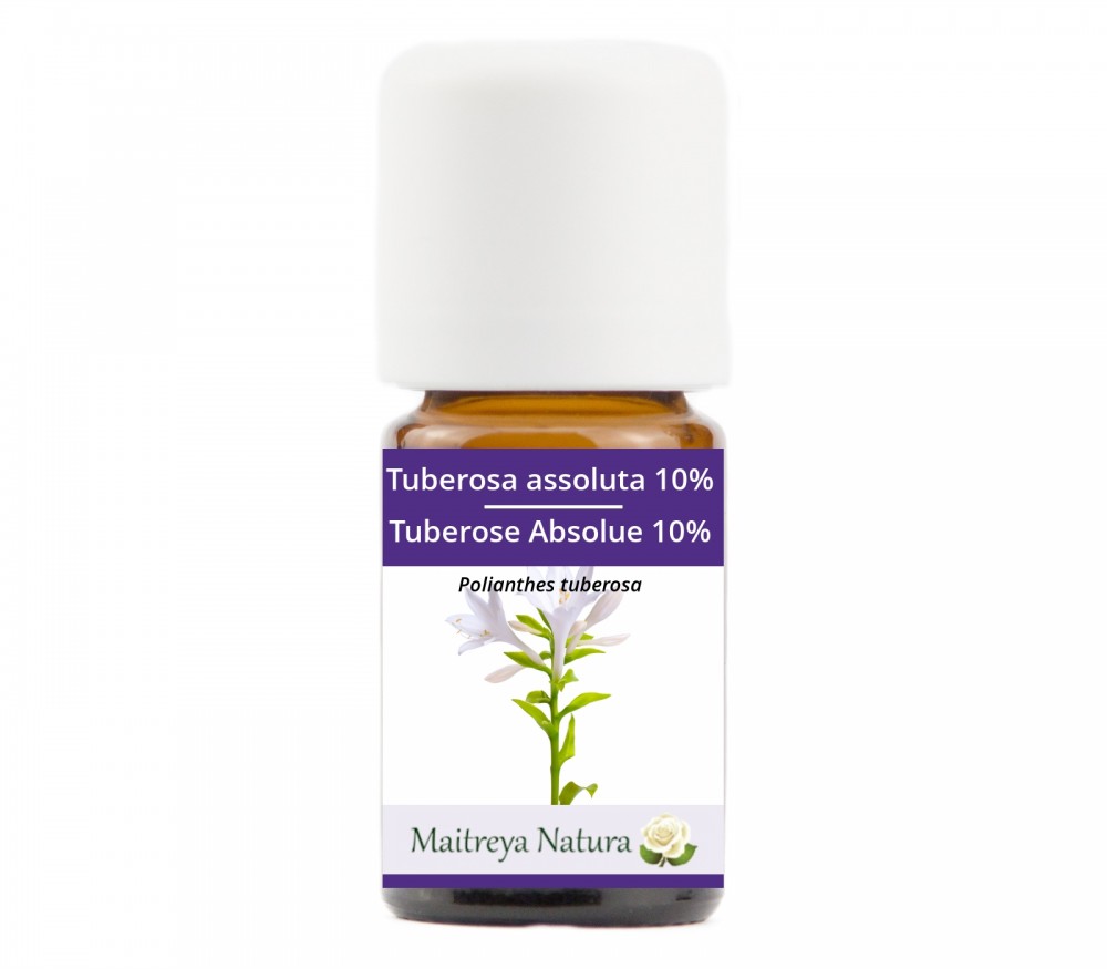 Online kaufen: Tuberose Absolue 10% Online kaufen: Tuberose Absolue 10%
