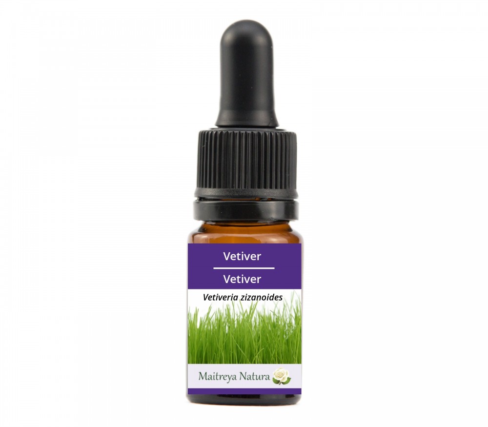 Online kaufen: Vetiver Online kaufen: Vetiver