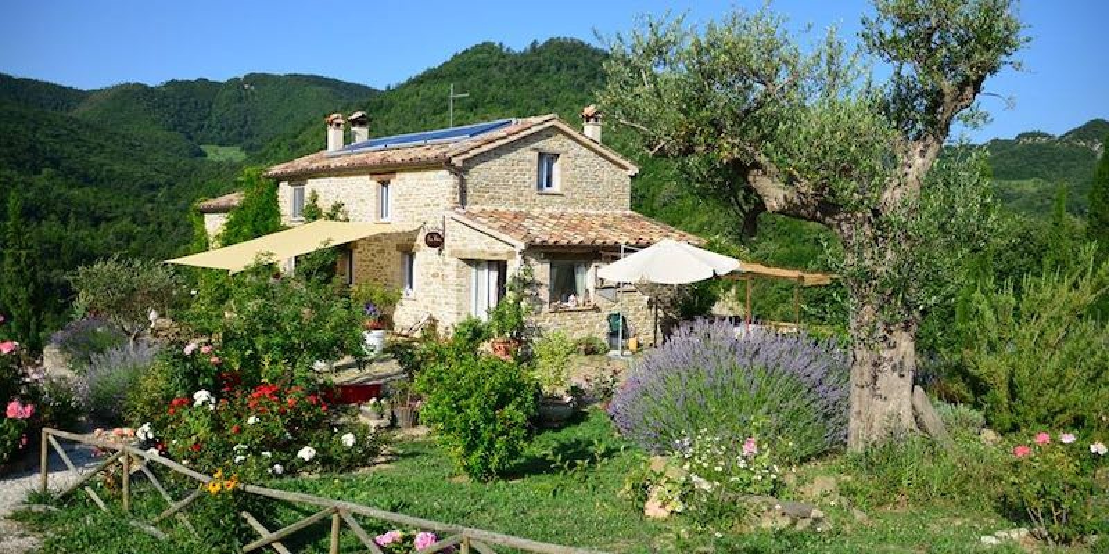 Maitreya - La Pace Maitreya - La Pace