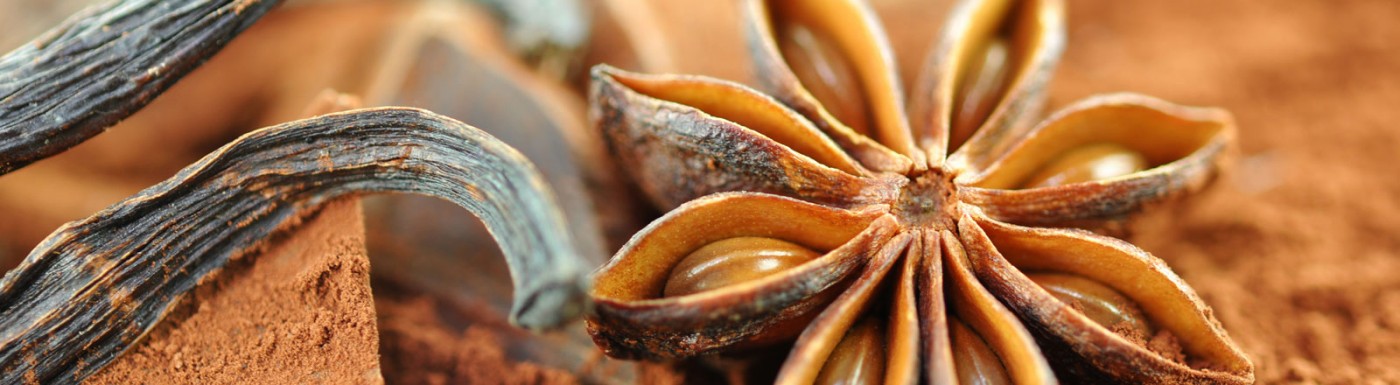 Anissamen (Sternanis)