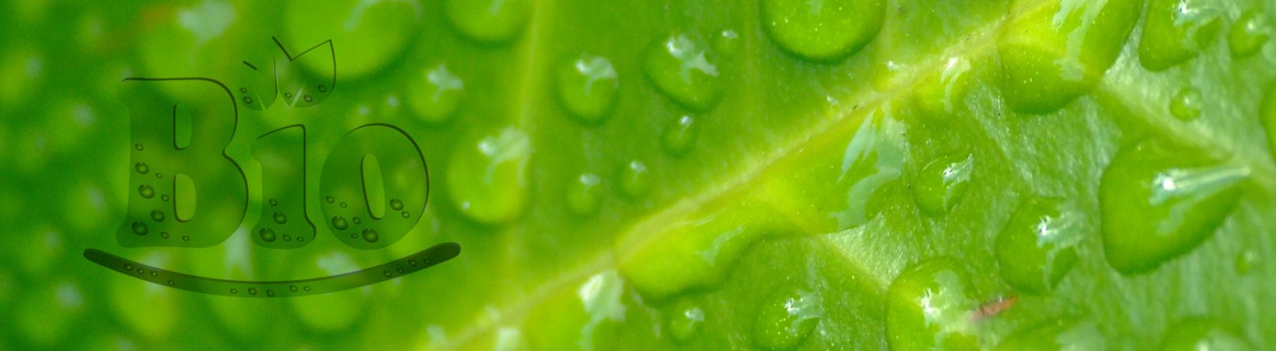BIO - Zertifizierung BIO - Zertifizierung