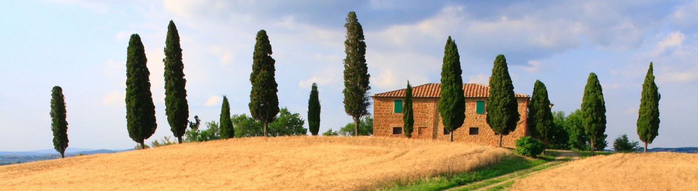 Olio essenziale di Cipresso Cipresso