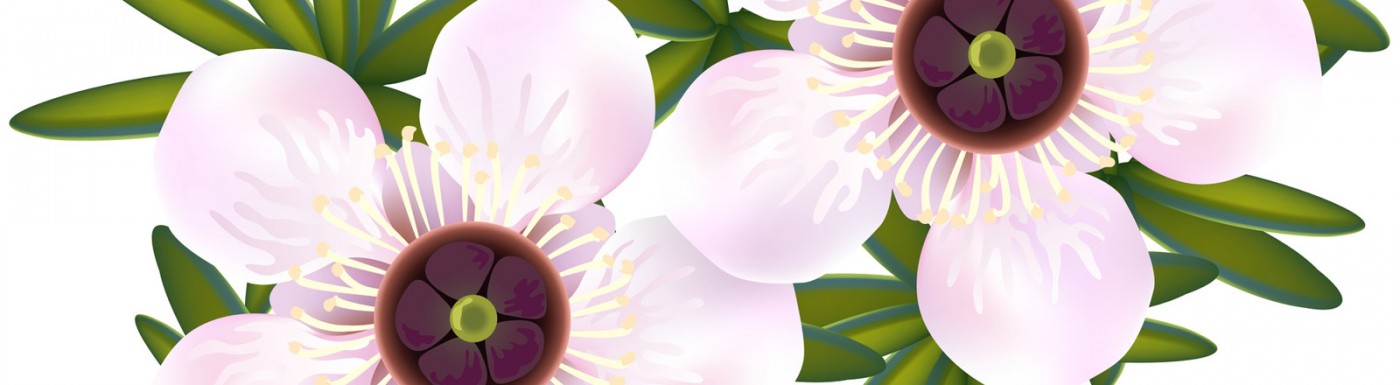 Olio essenziale di Manuka Manuka