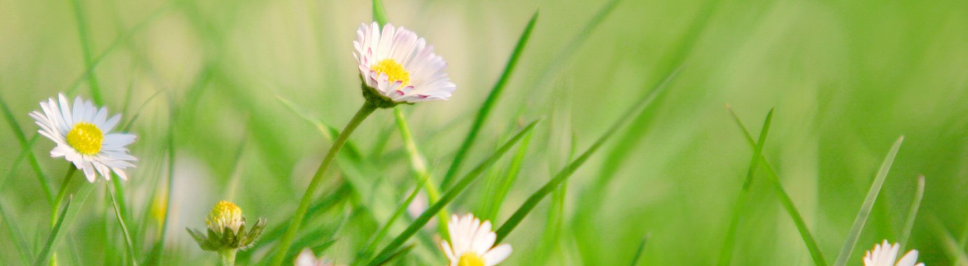 Zahlungsmöglichkeiten Zahlungsmöglichkeiten