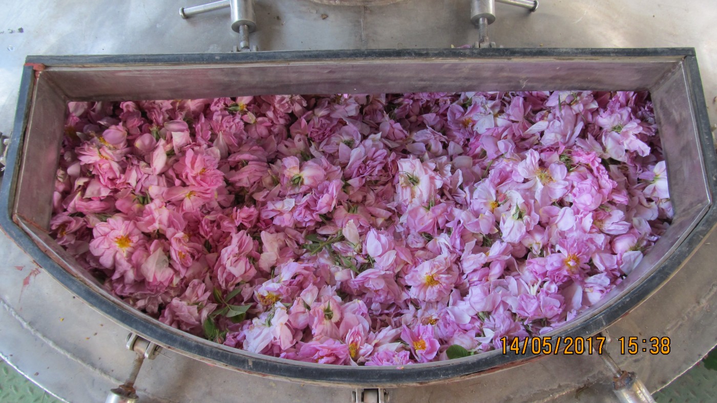 I nostri coltivatori in Bulgaria